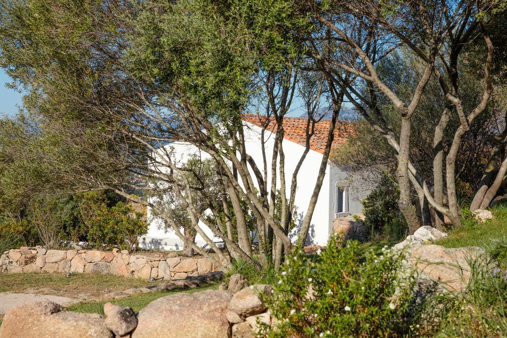 Agriturismo Cabu Abbas Olbia Exterior foto